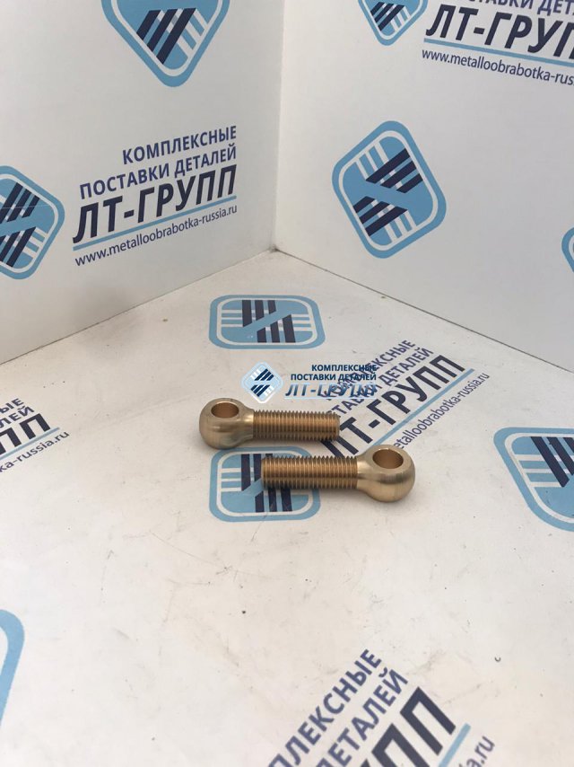 Болт откидной 16х60 ридф.758193.009-105